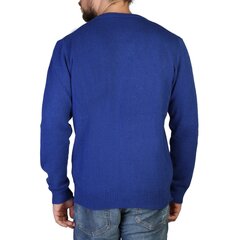 Свитер для мужчин, синий цена и информация | Мужские свитера | hansapost.ee