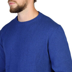 Свитер для мужчин, синий цена и информация | Мужские свитера | hansapost.ee