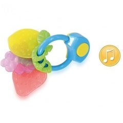 Музыкальная игрушка-прорезыватель для зубов Lorelli Ягоды цена и информация | Игрушки для малышей | hansapost.ee
