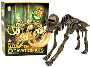 Arheoloogi komplekt - Mammut Excavation Kits hind ja info | Arendavad laste mänguasjad | hansapost.ee