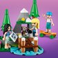 41681 LEGO® Friends Metsa matkaauto ja purjekas цена и информация | Klotsid ja konstruktorid | hansapost.ee