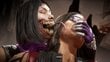 PlayStation 4 mäng Mortal Kombat 11 Ultimate hind ja info | Konsooli- ja arvutimängud | hansapost.ee