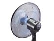 Ventilaator Beper P206VEN100 цена и информация | Ventilaatorid | hansapost.ee