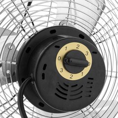 Вентилятор Dakota Botti, 30 см цена и информация | Вентиляторы | hansapost.ee