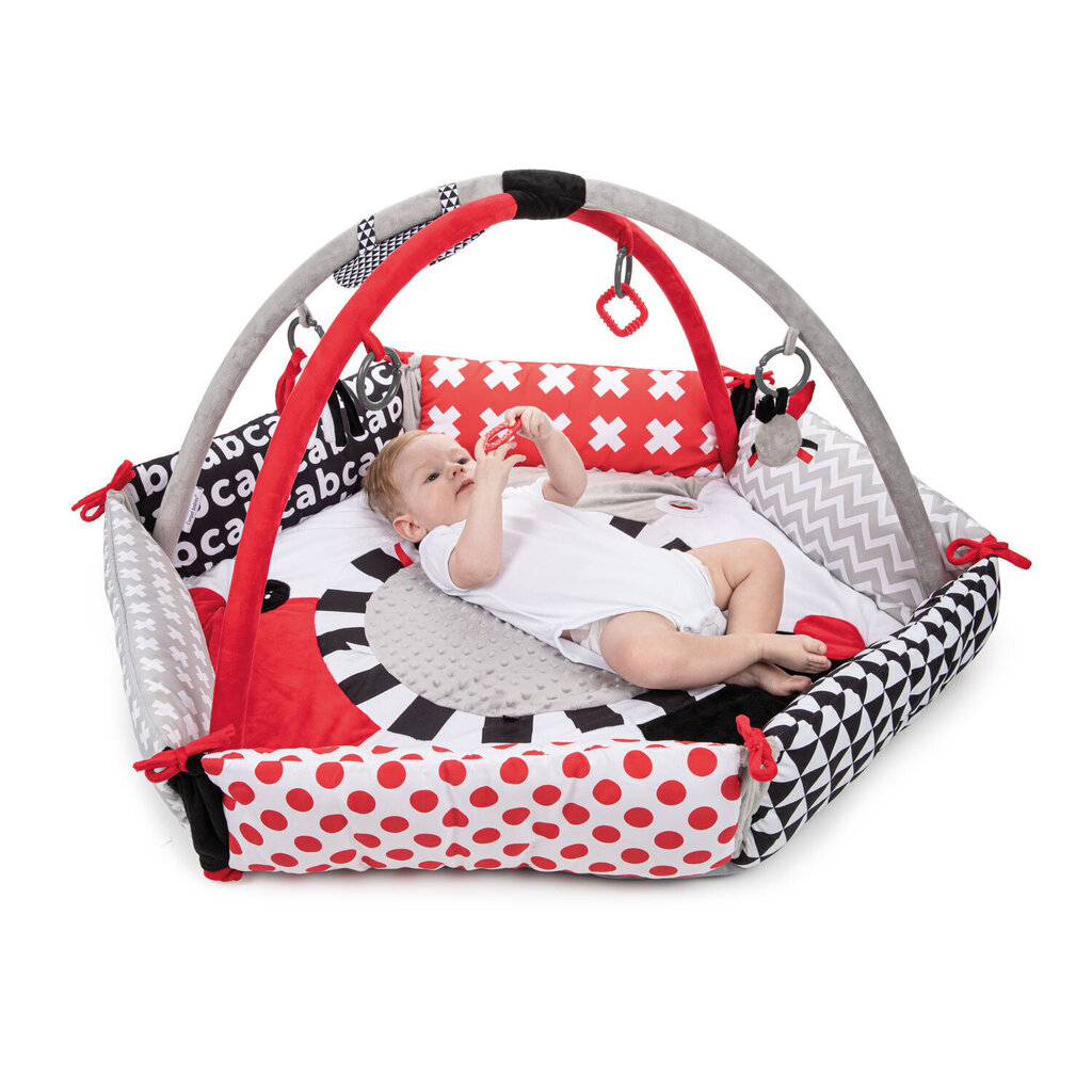 Hariv matt Canpol Babies Sensory Toys, 68/077 hind ja info | Arendavad tegelusmatid | hansapost.ee