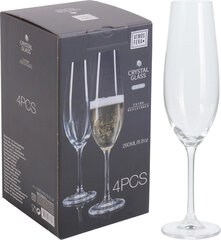 Šampanjaklaasid, 4 tk hind ja info | Klaasid, kruusid ja kannud | hansapost.ee