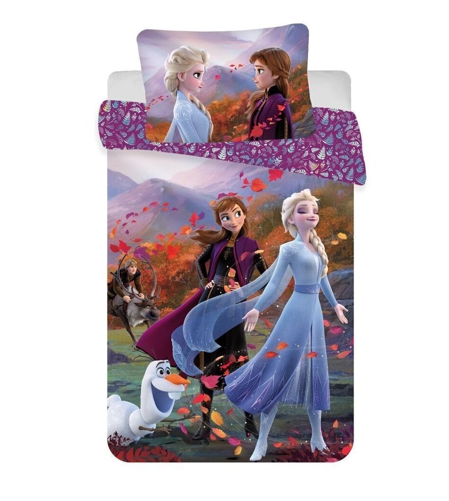 Beebi voodipesukomplekt Frozen 2 Wind Baby, 100 x 135 cm + padjapüür 40 x 60 cm цена и информация | Laste voodipesu | hansapost.ee