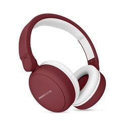 Energy Sistem Headphones 2 цена и информация | Наушники | hansapost.ee