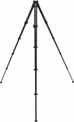 Peak Design штатив Travel Tripod Carbon цена и информация | Штативы | hansapost.ee