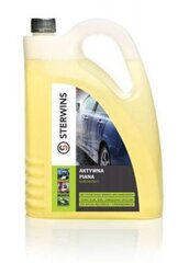 Puhastusvaht Sterwins, 5l hind ja info | Sterwins Autokaubad | hansapost.ee