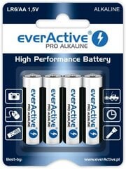 everActive EVLR20-PRO (2) цена и информация | Батареи | hansapost.ee