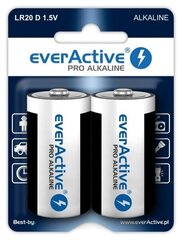 everActive EVLR20-PRO (2) цена и информация | Аккумуляторы для видеокамер | hansapost.ee