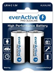 EverActive EVLR14-PRO (2) hind ja info | Videokaamerate akud | hansapost.ee