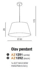 Azzardo светильник Olav AZ1391 цена и информация | Потолочный светильник, 38 x 38 x 24 см | hansapost.ee