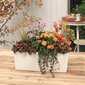 Rõdukast Lechuza Balconera Color 50, erinevad värvid hind ja info | Lillekastid ja lillekastide alused | hansapost.ee