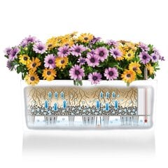 Lillepott Lechuza Balconera Color 50 hind ja info | Lillekastid ja lillekastide alused | hansapost.ee