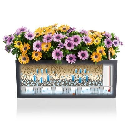 Rõdukast lilledele Lechuza Balconera Color 80 hind ja info | Lillekastid ja lillekastide alused | hansapost.ee
