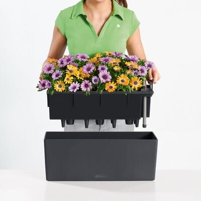 Rõdukast lilledele Lechuza Balconera Color 80 цена и информация | Lillekastid ja lillekastide alused | hansapost.ee