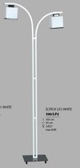 Põrandalamp Eltrox LP2, hõbedane hind ja info | Põrandalambid | hansapost.ee