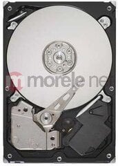 Seagate BarraCuda 2.5" 500GB (ST500LM030) hind ja info | Seagate Arvuti komponendid | hansapost.ee