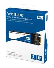 Western Digital WD Blue 1TB SATA3 (WDS100T2B0B) hind ja info | Sisemised kõvakettad | hansapost.ee