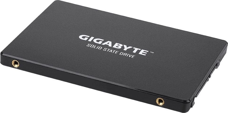 Gigabyte GP-GSTFS31100TNTD hind ja info | Sisemised kõvakettad | hansapost.ee