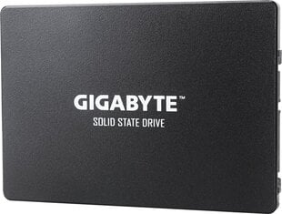 Gigabyte GP-GSTFS31100TNTD hind ja info | Gigabyte Arvuti komponendid | hansapost.ee