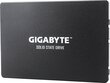 Gigabyte GP-GSTFS31100TNTD hind ja info | Sisemised kõvakettad | hansapost.ee