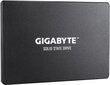 Gigabyte GP-GSTFS31100TNTD hind ja info | Sisemised kõvakettad | hansapost.ee