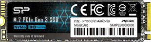 Silicon Power SP256GBP34A60M28 hind ja info | Sisemised kõvakettad | hansapost.ee