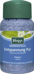Kneipp Mineral Bath Salt Pure Relaxation соль для ванны 500 г цена и информация | Масла, гели для душа | hansapost.ee