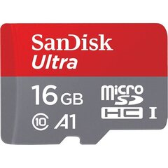 MEMORY MICRO SDHC 16GB UHS-I/W/A SDSQUAR-016G-GN6IA SANDISK hind ja info | Sandisk Mobiiltelefonid ja lisatarvikud | hansapost.ee