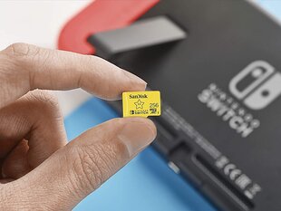 SanDisk SDSQXAO-256G-GNCZN цена и информация | Карты памяти для телефонов | hansapost.ee
