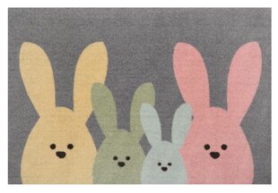 Hanse Home uksematt Printy Bunny Family, 40x60 cm hind ja info | Uksematid | hansapost.ee