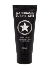 Veebaasil libesti Waterbased Lubricant, 100 ml hind ja info | Libestid | hansapost.ee