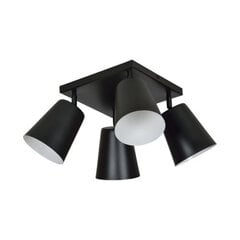 Потолочная лампа Emibig PRISM 4 BLACK цена и информация | Потолочные светильники | hansapost.ee