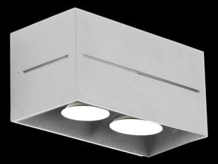 Lampex светильник Quado Pro 2 цена и информация | Потолочные светильники | hansapost.ee