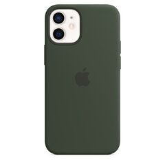 Apple Silicone Case MagSafe MHKR3ZM/A Green цена и информация | Чехлы для телефонов | hansapost.ee
