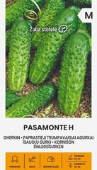 Огурцы PASAMONTE H, 0.5 г цена и информация | Семена овощей, ягод | hansapost.ee