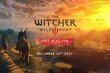 The Witcher 3: Wild Hunt, PS4 цена и информация | Konsooli- ja arvutimängud | hansapost.ee
