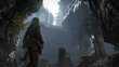 PlayStation 4 mäng Rise Of The Tomb Raider: 20 Year Celebration hind ja info | Konsooli- ja arvutimängud | hansapost.ee