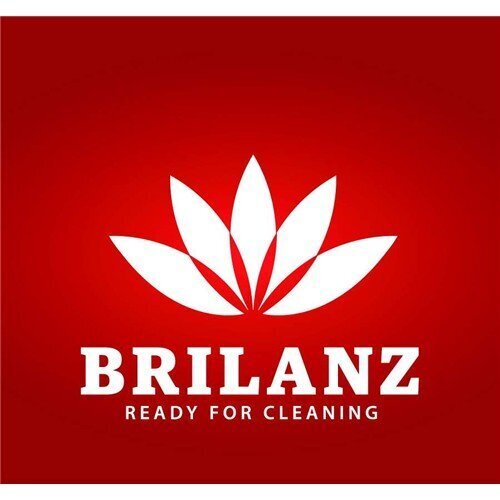 BRILANZ riidekott 135x60 cm hind ja info | Riidepuud ja riidekotid | hansapost.ee