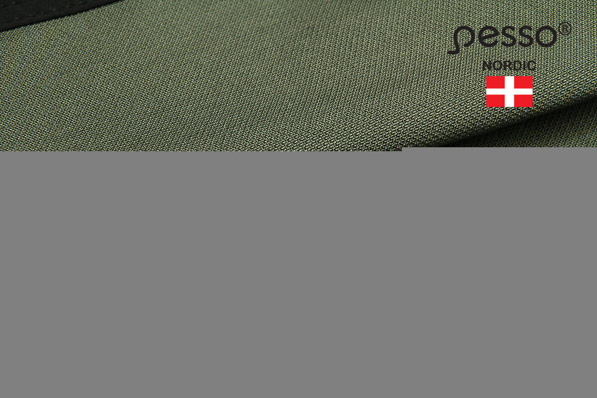 Tööpüksid Pesso Nordic TITAN Flexpro 125 цена и информация | Tööriided | hansapost.ee