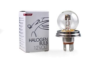 Halogeenpirn M-Tech G40 12V Z48 цена и информация | Автомобильная ксеноновая лампа D2R 6000К (Китай) | hansapost.ee