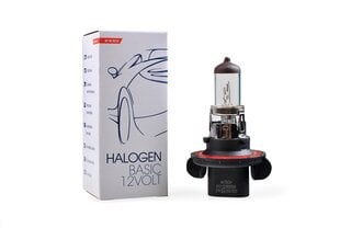 Halogeenpirn M-Tech Basic H13 12V hind ja info | M-Tech Autokaubad | hansapost.ee