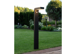 Садовый светильник с солнечной панелью Vici цена и информация | Уличное освещение | hansapost.ee
