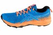 Meeste spordijalanõud Asics FujiTrabuco 1011A700-400 hind ja info | Spordijalatsid ja vabaajajalatsid meestele | hansapost.ee