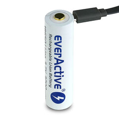 everActive USB перезаряжаемый аккумулятор с PCM 18650 3200мАч цена и информация | Батерейки | hansapost.ee