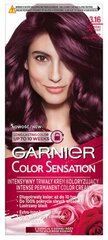 Kauapüsiv juuksevärv Garnier Color Sensation 110 ml, 3.16 Deep Amethyste цена и информация | Краска для волос | hansapost.ee