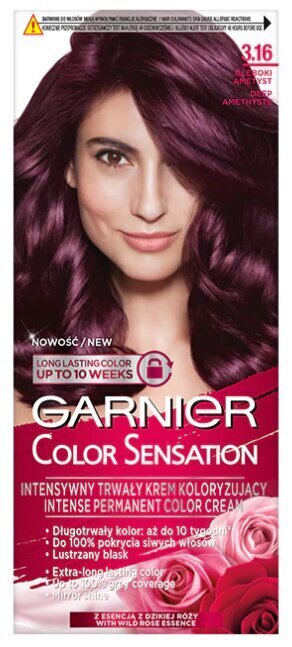 Kauapüsiv juuksevärv Garnier Color Sensation 110 ml, 3.16 Deep Amethyste hind ja info | Juuksevärvid | hansapost.ee